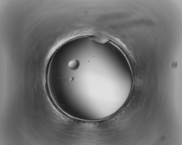 X0000096161512200801251116