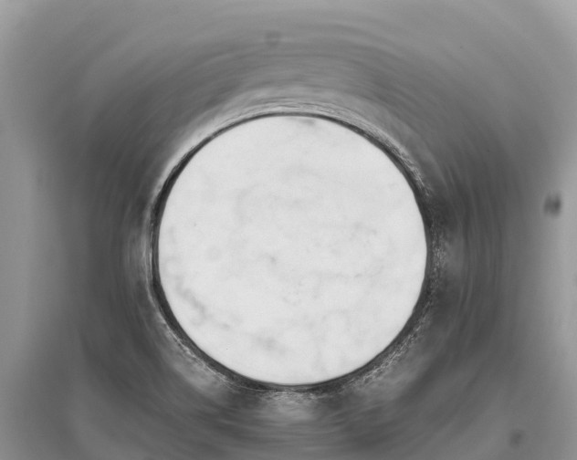 X0000096161514200801251116