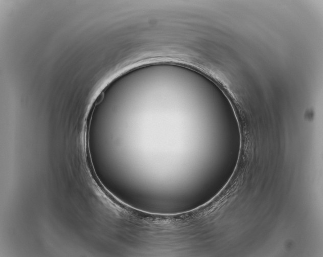 X0000096161516200801251116