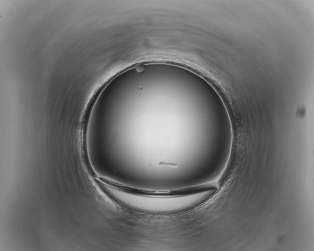X0000096161517200801251116