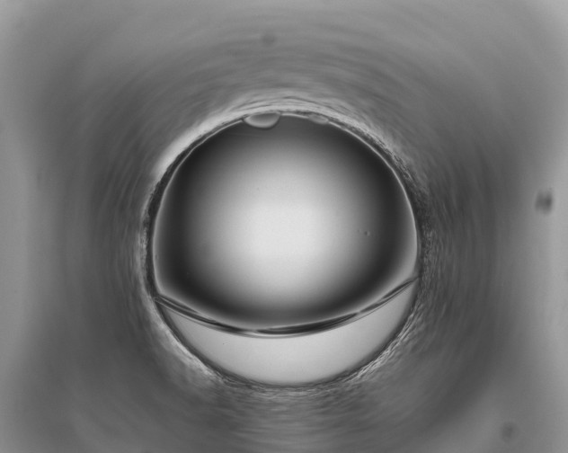 X0000096161518200801251116