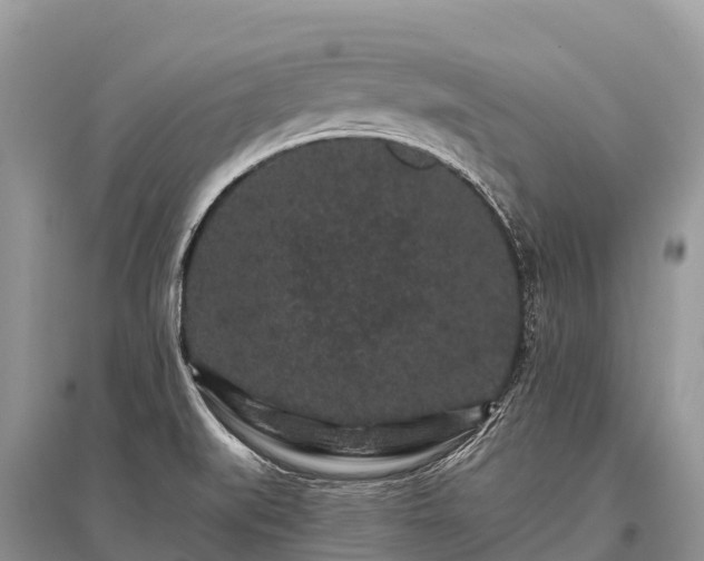 X0000096161519200801251116