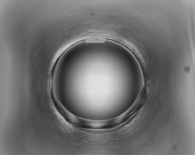 X0000096161520200801251116
