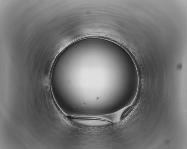 X0000096161521200801251116