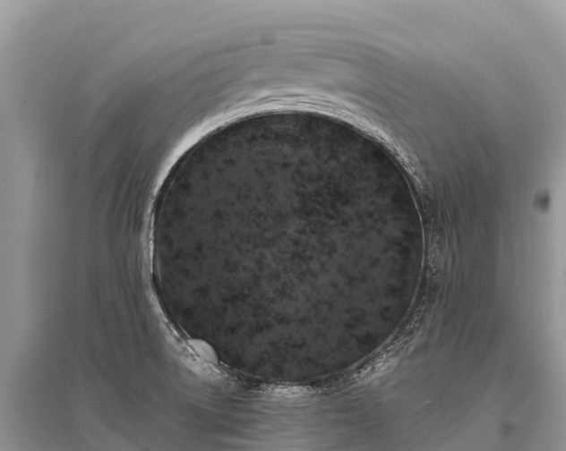 X0000096161522200801251116