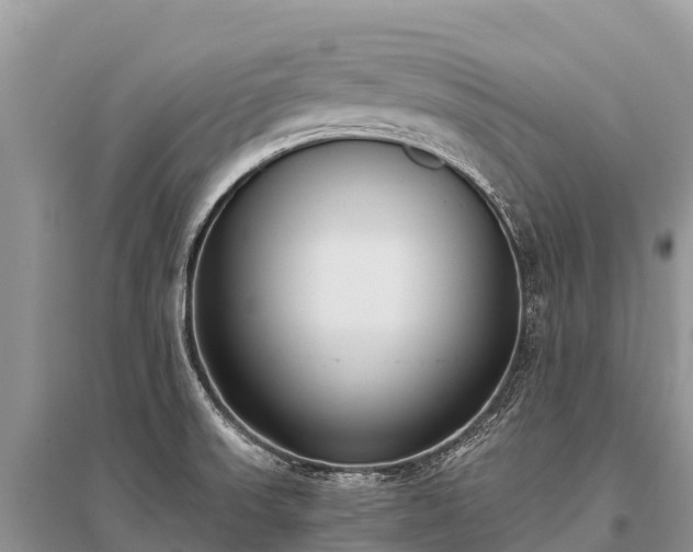 X0000096161523200801251116