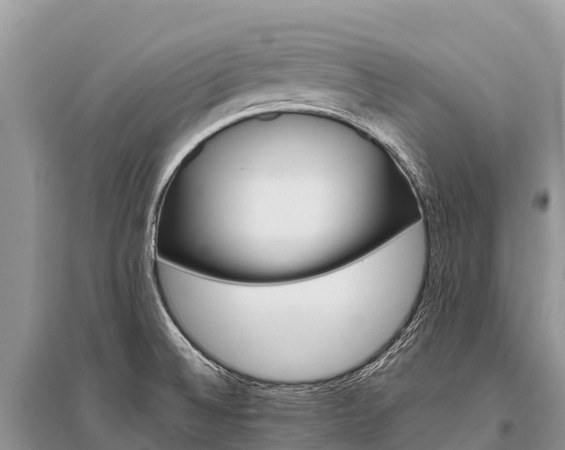 X0000096161524200801251116