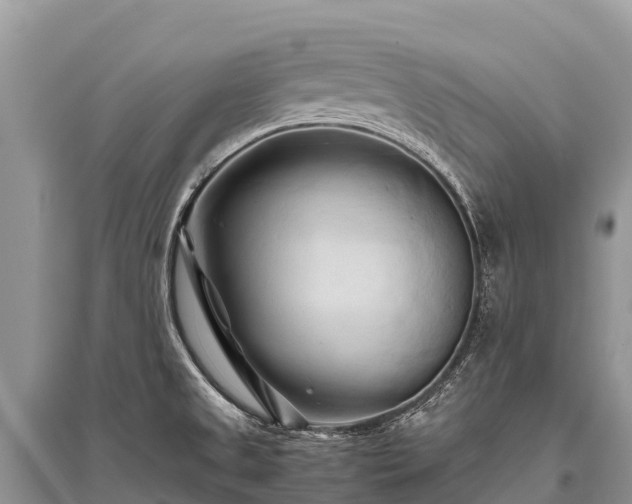 X0000096161525200801251116