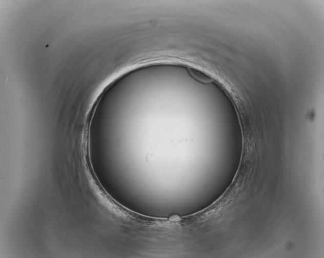 X0000096161526200801251116