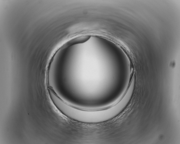 X0000096161528200801251116