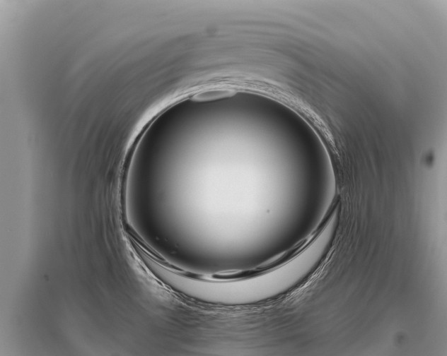 X0000096161530200801251116