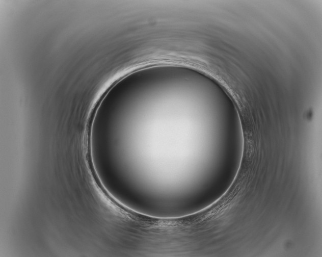 X0000096161531200801251116