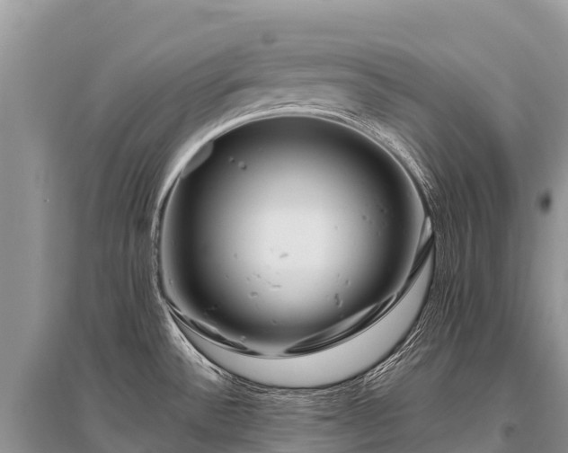 X0000096161532200801251116