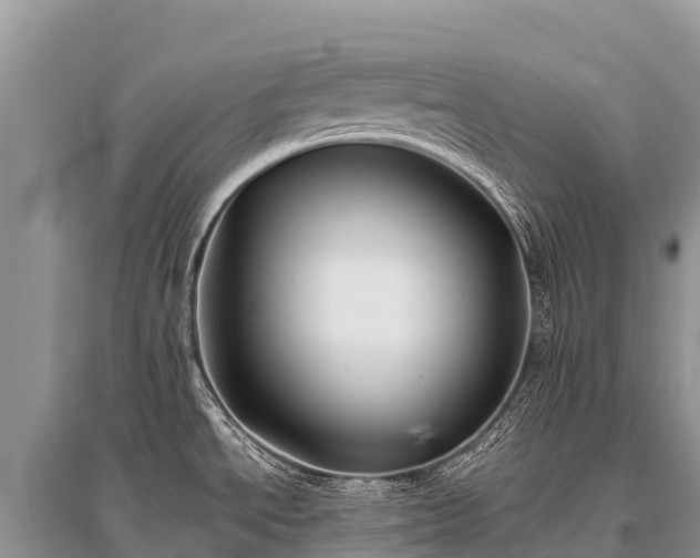 X0000096161534200801251116