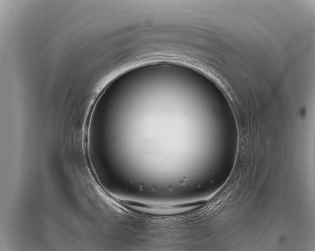 X0000096161535200801251116