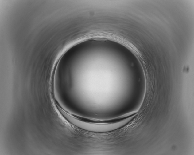 X0000096161536200801251116