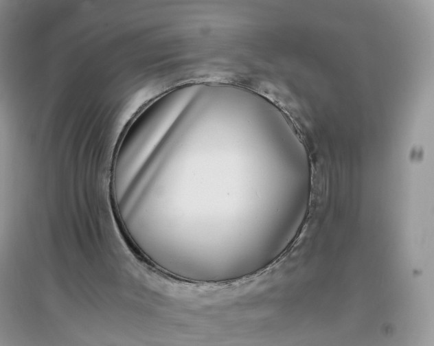 X0000096160003200802011306