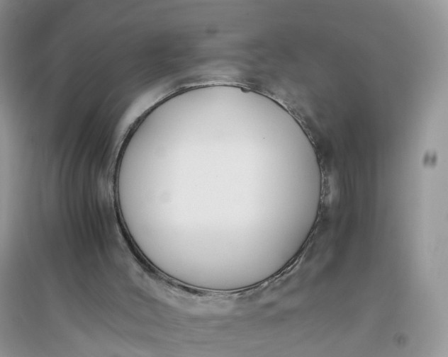 X0000096160004200802011306