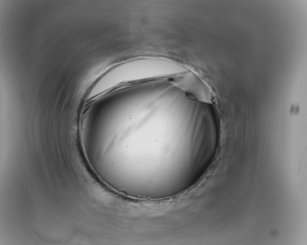 X0000096160005200802011306