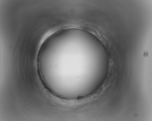 X0000096160006200802011306