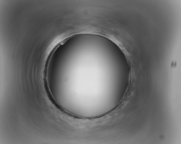 X0000096160007200802011306