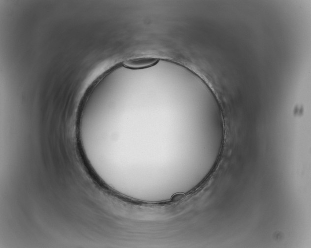 X0000096160008200802011306