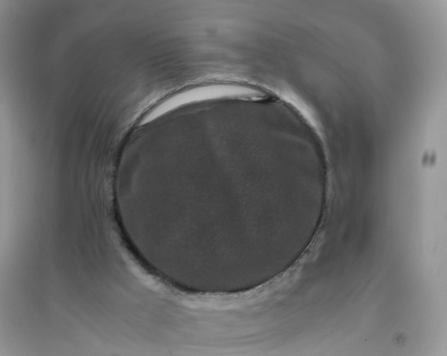 X0000096160009200802011306