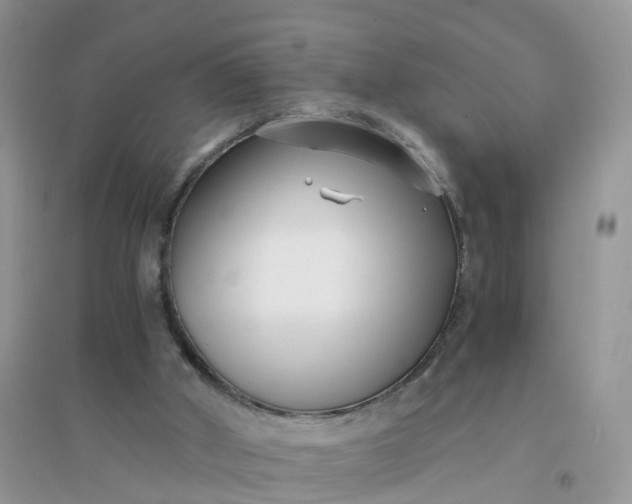 X0000096160010200802011306