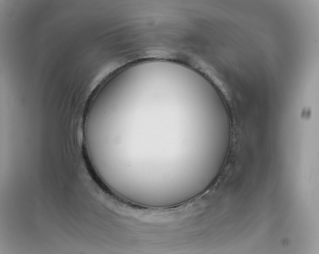 X0000096160011200802011306