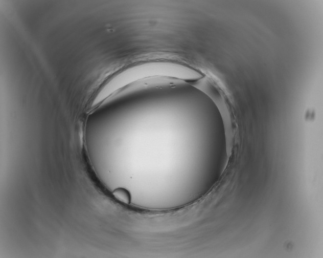 X0000096160013200802011306