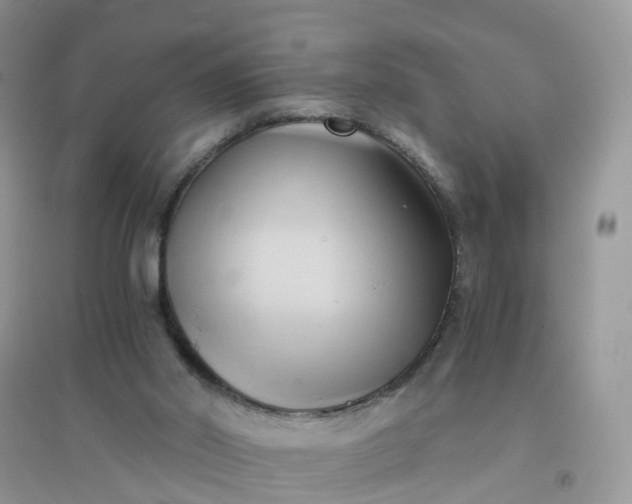 X0000096160014200802011306