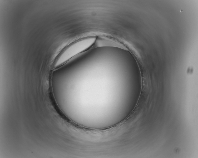 X0000096160015200802011306