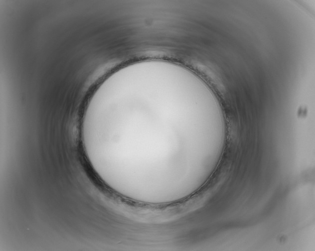 X0000096160016200802011306