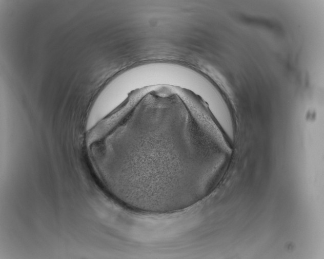 X0000096160017200802011306