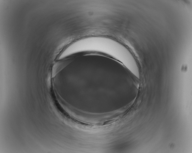 X0000096160019200802011306