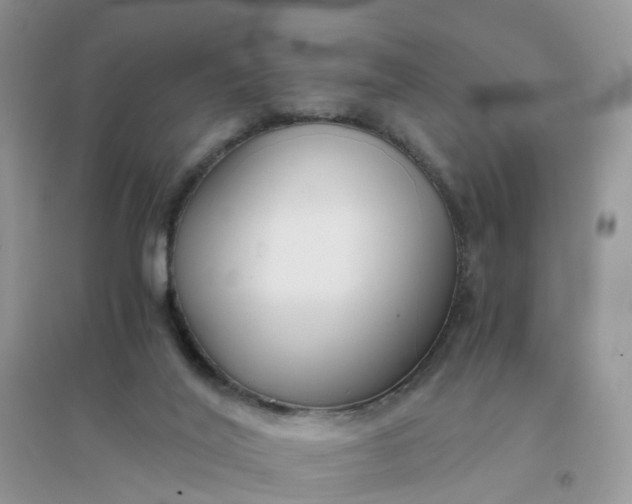 X0000096160020200802011306