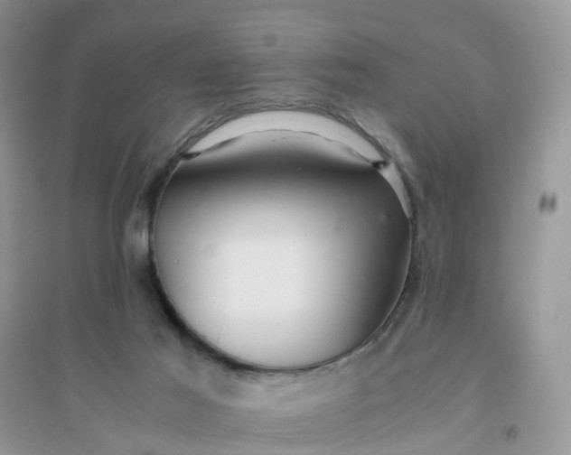 X0000096160021200802011306