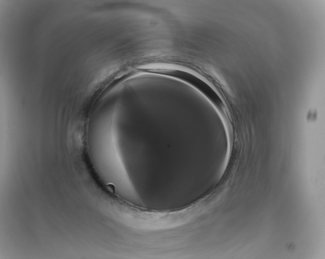 X0000096160023200802011306