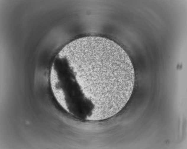 X0000096160024200802011306