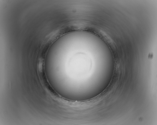 X0000096160026200802011306