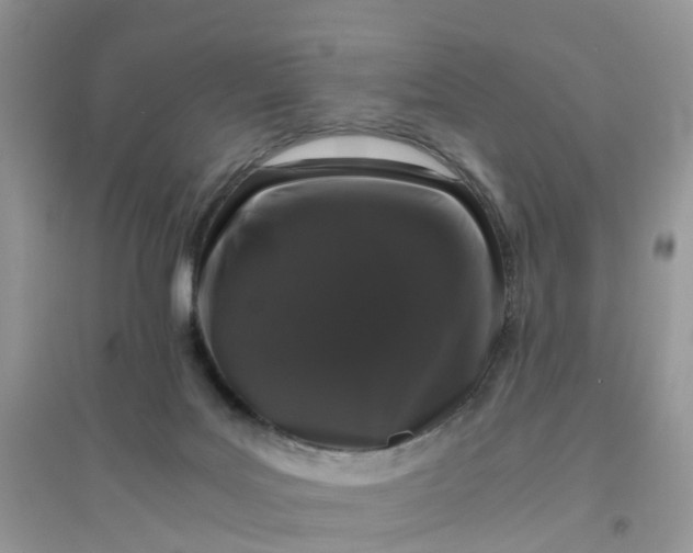 X0000096160027200802011306