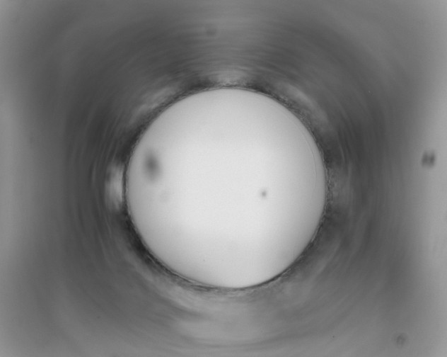 X0000096160028200802011306