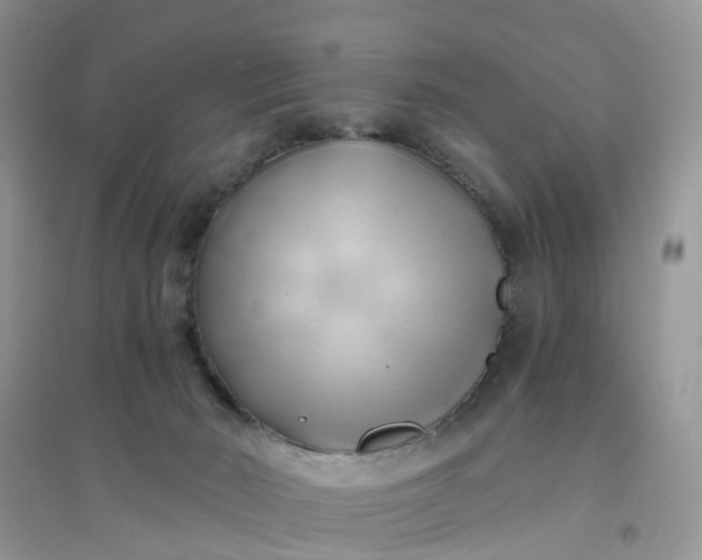 X0000096160030200802011306