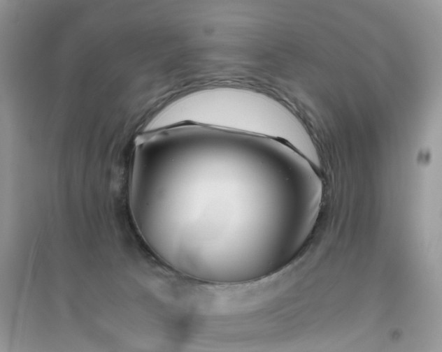 X0000096160033200802011306