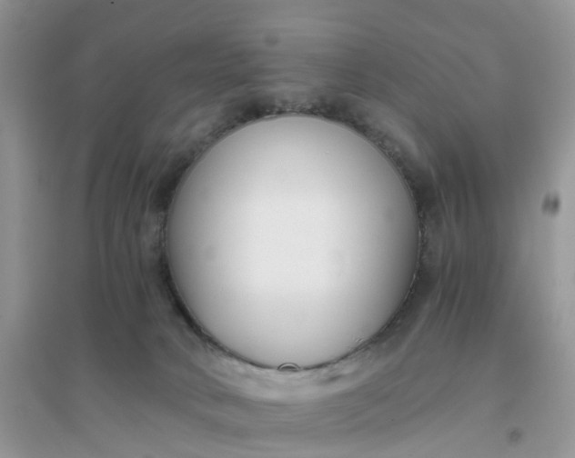 X0000096160034200802011306