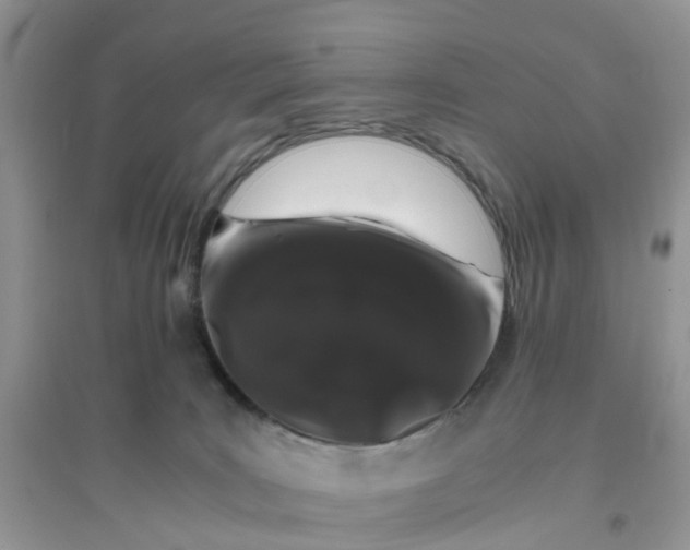 X0000096160035200802011306