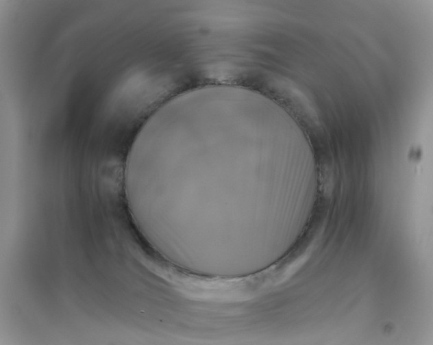 X0000096160036200802011306