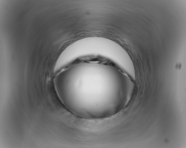 X0000096160037200802011306