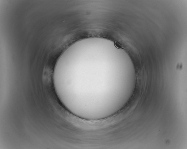 X0000096160038200802011306