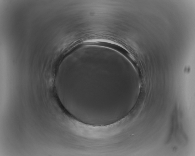 X0000096160039200802011306